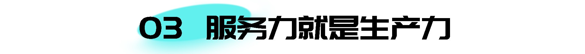 03.jpg